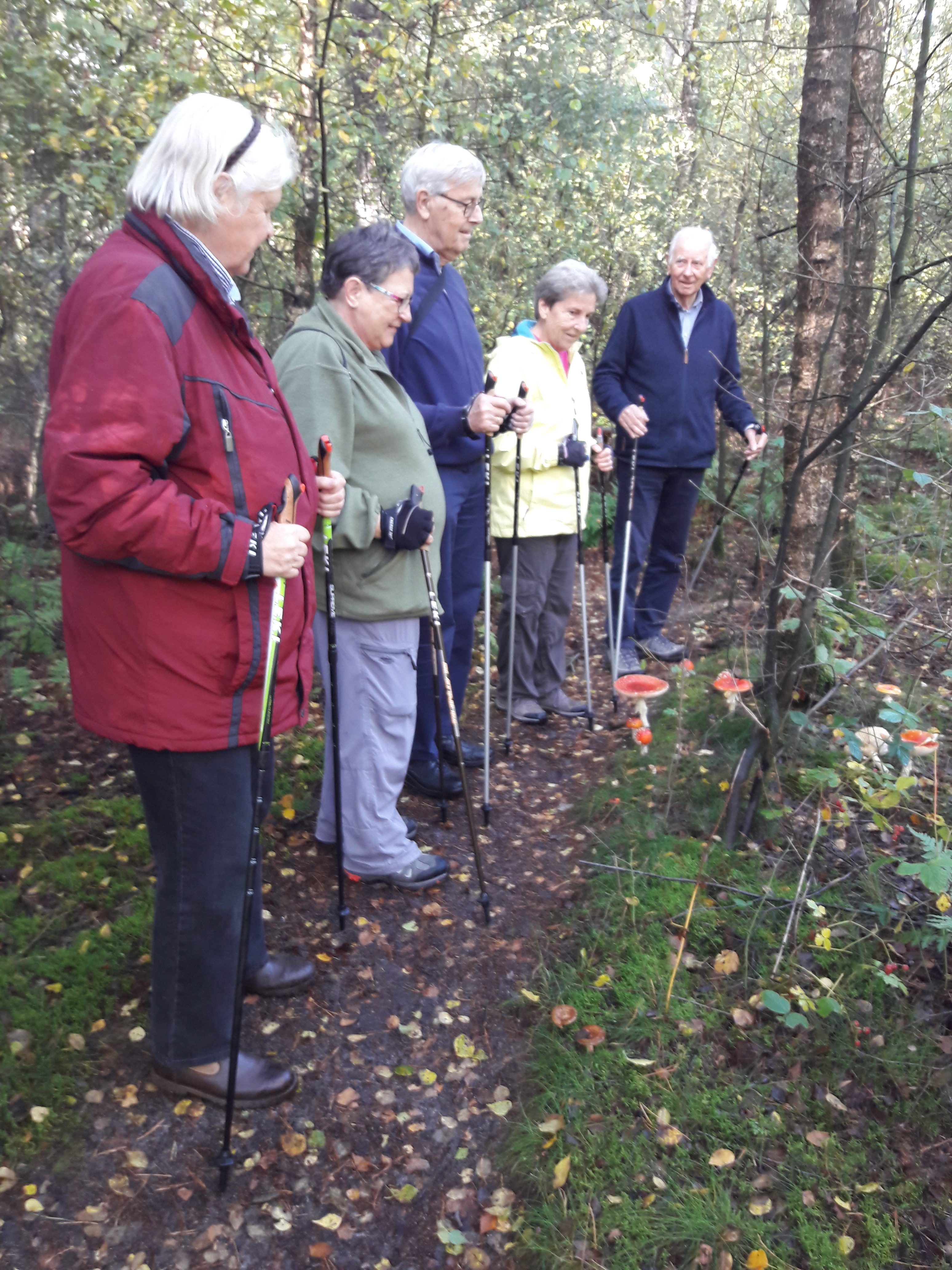 Ervaringen over in beweging soest